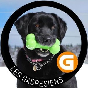 Meet your Posher, Dorine